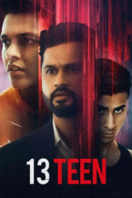 13Teen (2026) Punjabi Chaupal