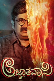 Agnyathavasi (2025) Hindi Dubbed UNCUT
