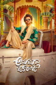 Anaganaga Oka Raju (2026) Hindi Dubbed Netflix