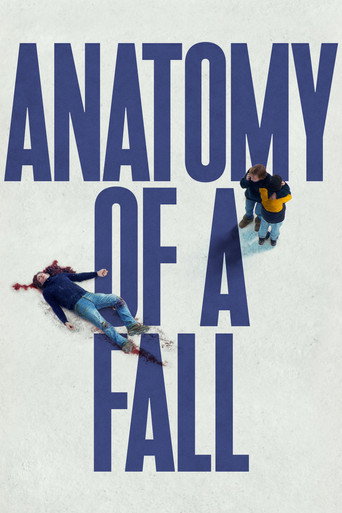 Anatomy of a Fall (2023) Hindi Dubbed Poster