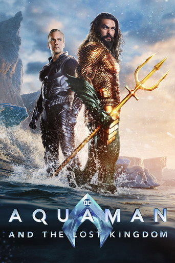 Aquaman and the Lost Kingdom (2023) Hindi Dubbed HD Poster