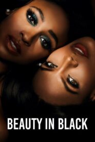 Beauty in Black (2025) Hindi Season 2 Complete Netflix