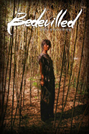 Bedevilled (2010) Hindi Dubbed AMZN
