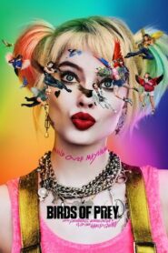 Birds of Prey (2020) Hindi Dubbed