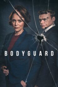 Bodyguard (2018) English Season 1 Complete