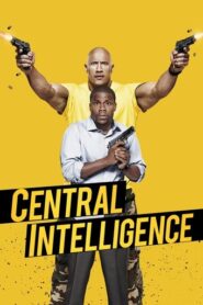 Central Intelligence (2016) Hindi Dubbed