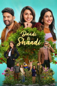 Daadi Ki Shaadi (2026) Hindi HD Netflix