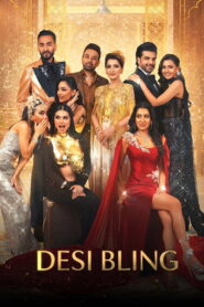 Desi Bling (2026) Hindi-English Season 1 Complete Netflix