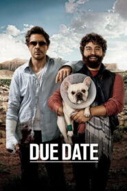 Due Date (2010) Hindi Dubbed