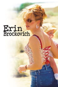 Erin Brockovich (2000) Hindi Dubbed