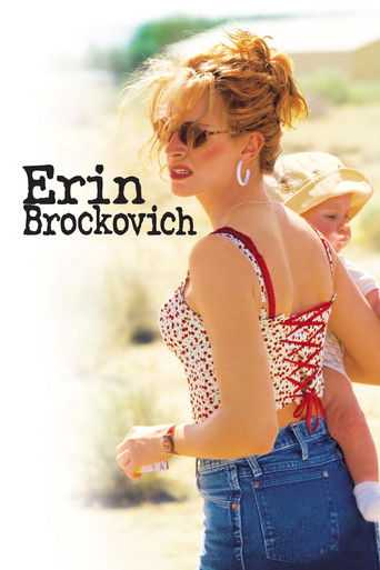 Erin Brockovich (2000) Hindi Dubbed Poster