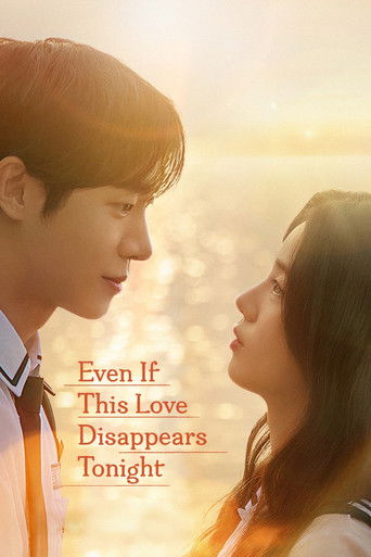 Even If This Love Disappears Tonight (2025) Hindi Dubbed Netflix Poster