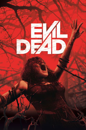 Evil Dead (2013) Hindi Dubbed Poster