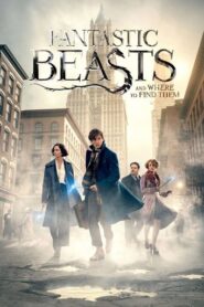 Fantastic Beasts and Where to Find Them (2016) Hindi Dubbed