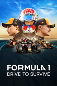 Formula 1: Drive to Survive (2026) Hindi Season 8 Complete Netflix