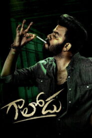 Gaalodu (2022) Hindi Dubbed