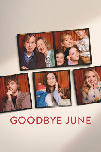 Goodbye June (2025) Hindi Dubbed Netflix Poster