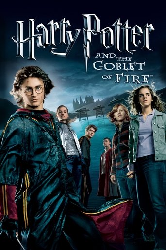 Harry Potter and the Goblet of Fire (2005) Hindi Dubbed Poster