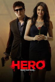 Hero Naam Yaad Rakhi (2015) Punjabi HD