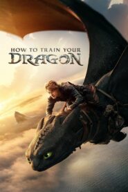 How to Train Your Dragon (2025) Hindi Dubbed AMZN