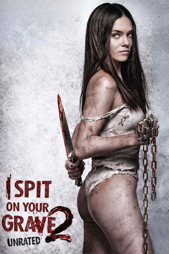 I Spit on Your Grave 2 (2013) Hindi Dubbed Poster
