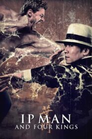 Ip Man and Four Kings (2019) Hindi Dubbed