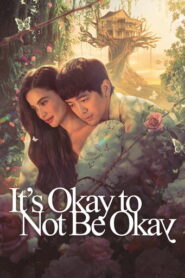 It’s Okay to Not Be Okay (2025) Hindi Season 1 Complete AMZN