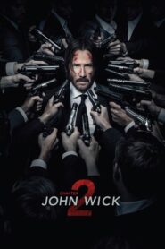John Wick: Chapter 2 (2017) Hindi Dubbed