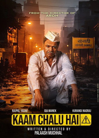 Kaam Chalu Hai (2024) Hindi HD Poster