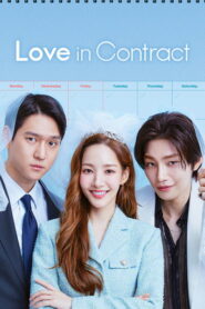 Love in Contract (2022) Hindi Season 1 Complete AMZN