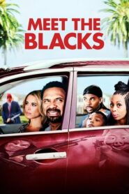 Meet the Blacks (2016) Hindi Dubbed