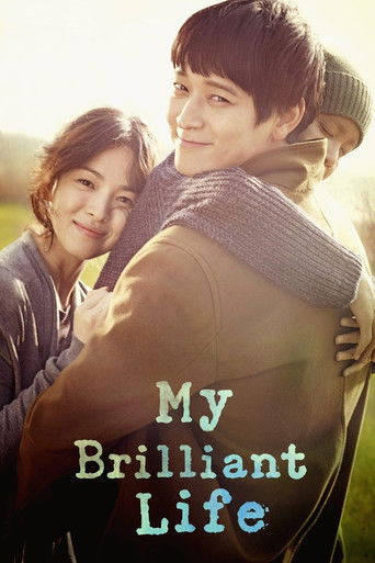 My Brilliant Life (2014) Hindi Dubbed Poster