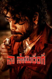 Naa Saami Ranga (2024) Hindi Dubbed JioCinema