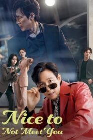 Nice to Not Meet You (2025) Hindi Season 1 Complete