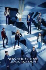 Now You See Me: Now You Dont (2025) Hindi Dubbed