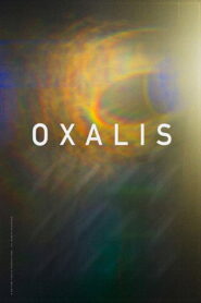 Shinakht Bonded In Blood Oxalis (2018) Hindi Dubbed UltraPlay
