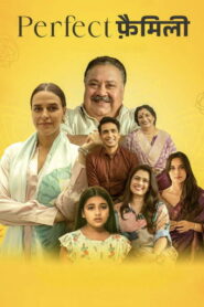 Perfect Family (2026) Hindi Season 2 Complete Sonyliv