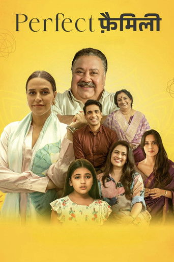 Perfect Family (2025) Hindi Season 1 Complete Poster