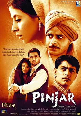 Pinjar (2003) Hindi HD backdrop