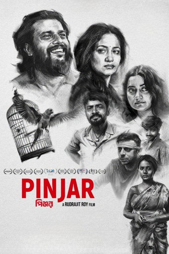 Pinjar (2026) Hindi HQ Dubbed backdrop