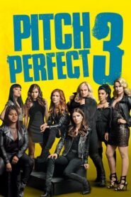 Pitch Perfect 3 (2017) Hindi Dubbed