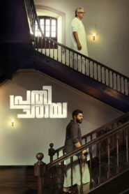 Prathichaya (2026) Hindi Dubbed JioHotstar