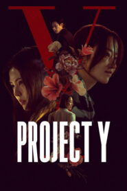 Project Y (2026) Hindi Dubbed AMZN