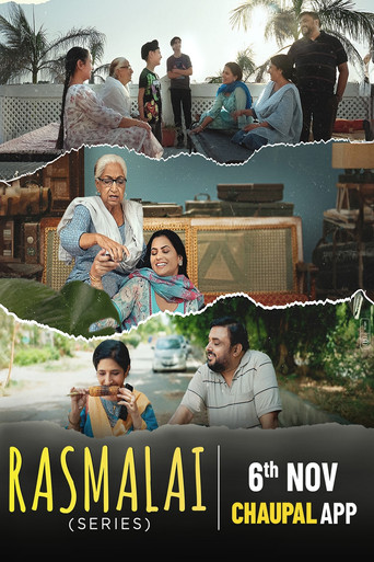 Rasmalai (2025) Punjabi Hindi Season 1 Complete Poster