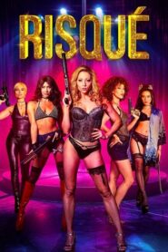 Risque (2025) Hindi Dubbed AMZN