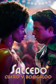 Salcedo Leather and Boogaloo (2026) Hindi Season 1 Complete Netflix