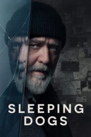 Sleeping Dogs (2024) Hindi Dubbed