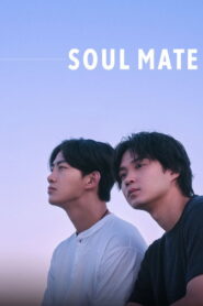 Soul Mate (2026) Hindi Season 1 Complete Netflix