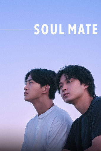 Soul Mate (2026) Hindi Season 1 Complete Netflix Poster