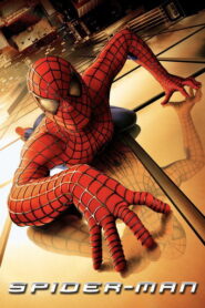 Spider Man (2002) Hindi Dubbed